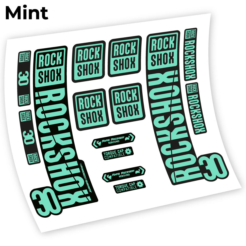 Stickers Rock Shox 30 2019 compatibles Autocollants fourche VTT