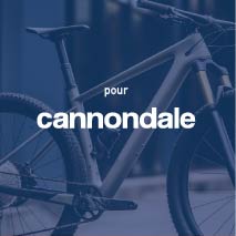 Stickers Cadre Cannondale