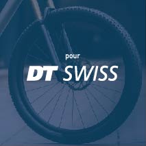 Stickers Roue VTT DT Swiss