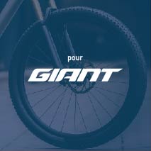 Stickers Roue VTT Giant