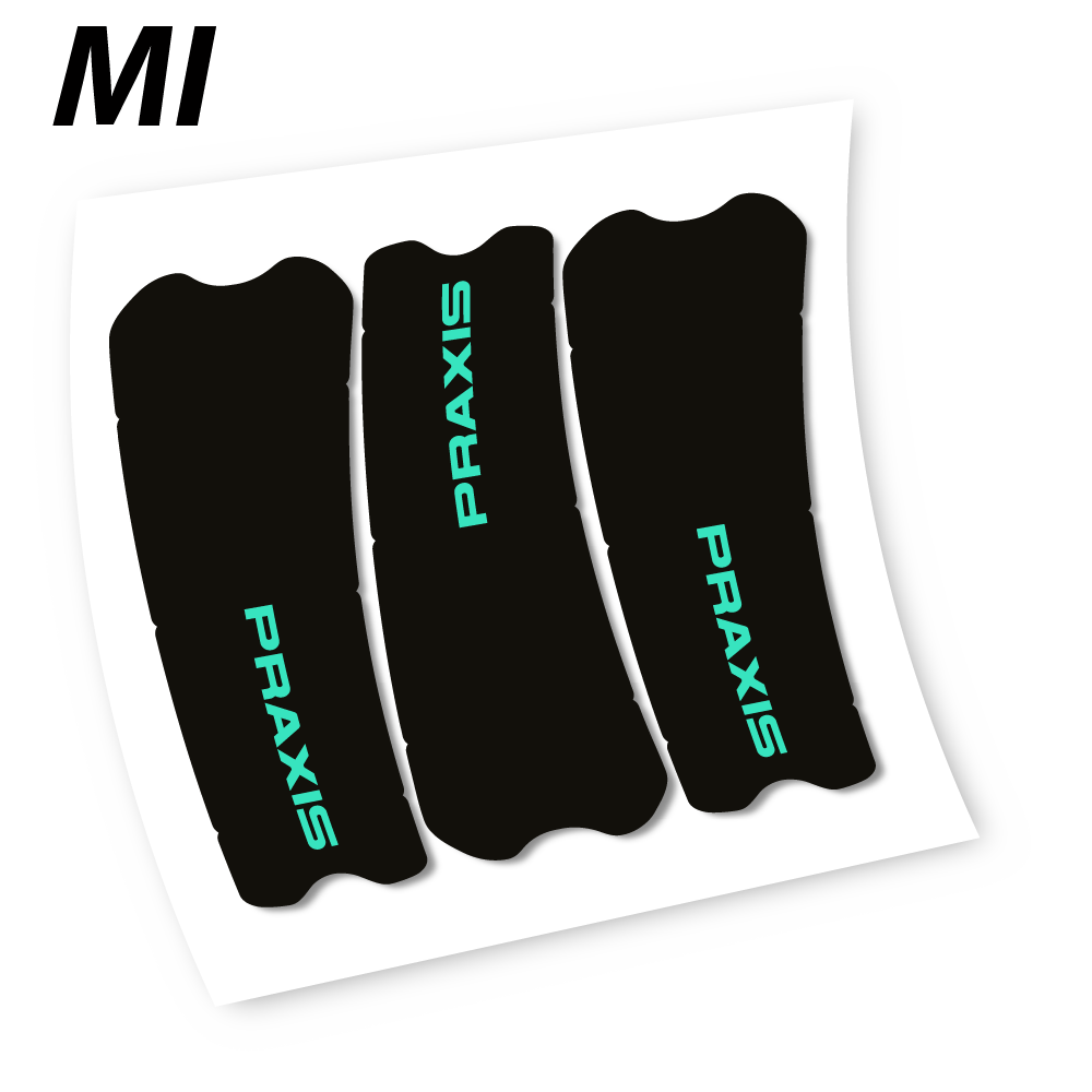 Stickers Praxis works turbo levo 2019 compatibles Autocollants pédalier