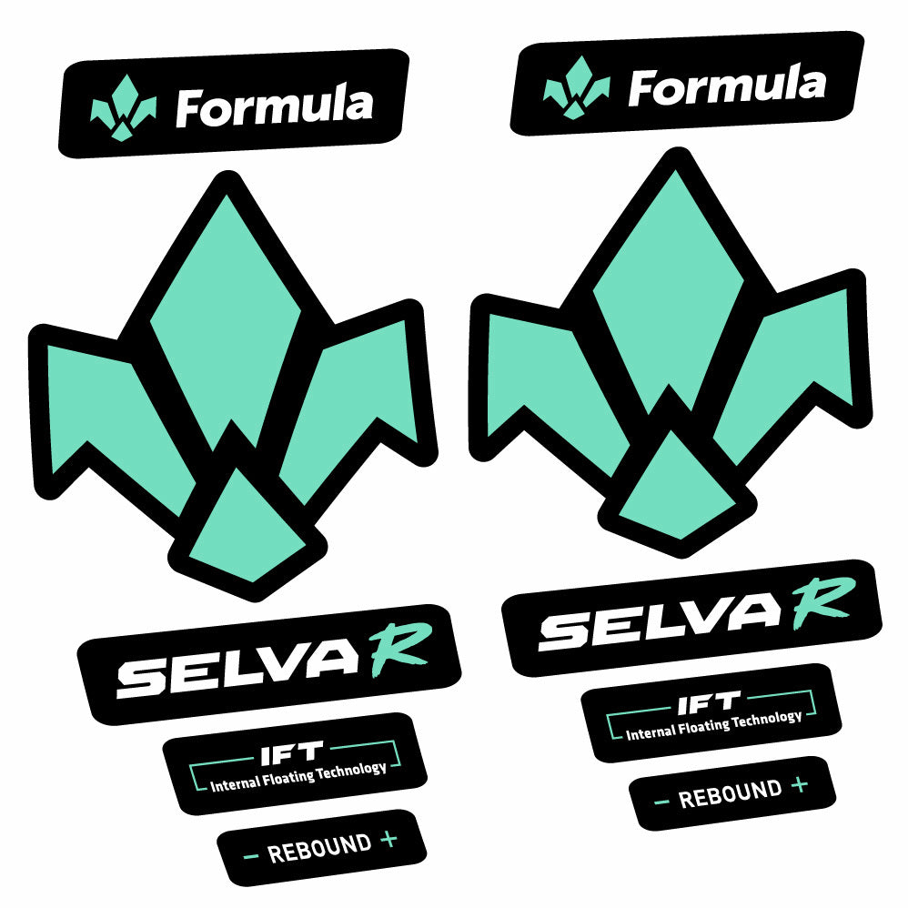 Stickers Formula Selva R 2019 compatibles Autocollants fourche 29"