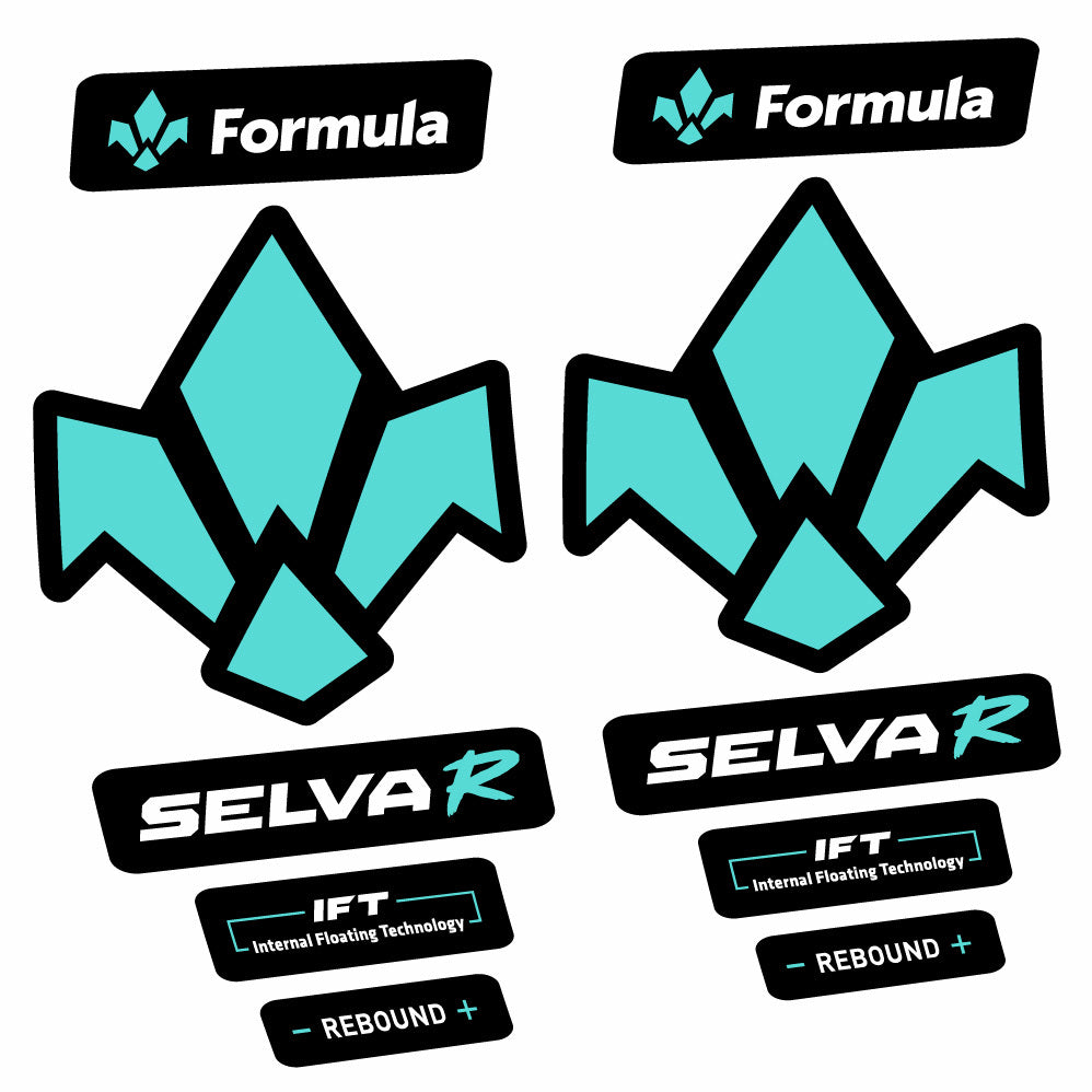 Stickers Formula Selva R 2019 compatibles Autocollants fourche 29"