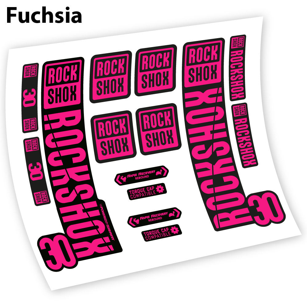 Stickers Rock Shox 30 2019 compatibles Autocollants fourche VTT