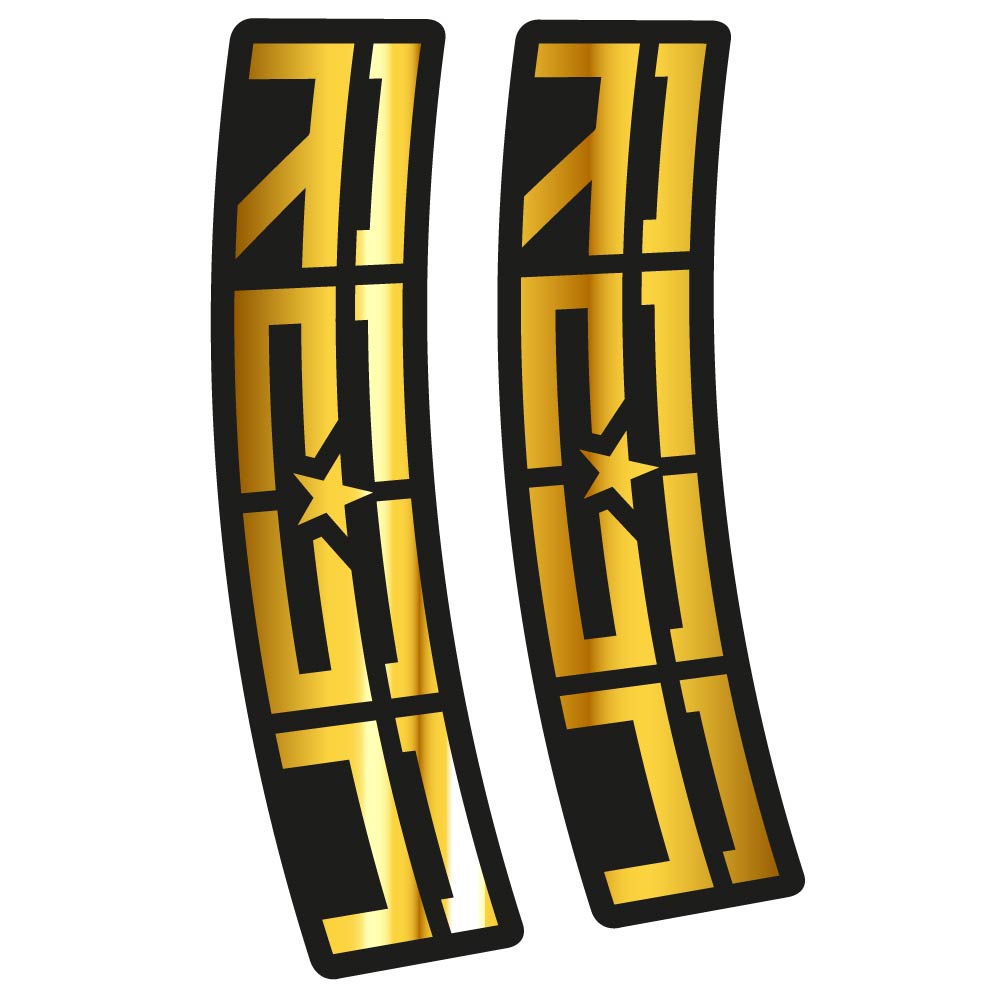 Stickers Rock Shox Reba compatibles Autocollants fourche VTT