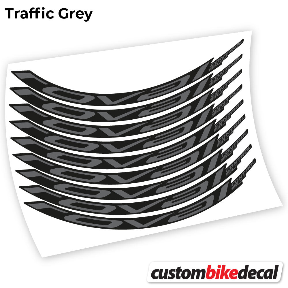 Trafc Grey decal for Roval Control SL 2021 MTB wheel – bike sticker vinyl
