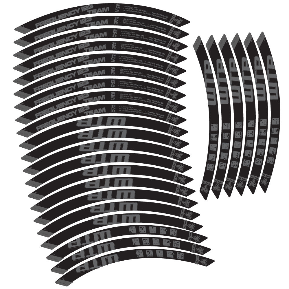 Stickers WTB Frequency i23 Team compatibles - Autocollants roue vélo VTT