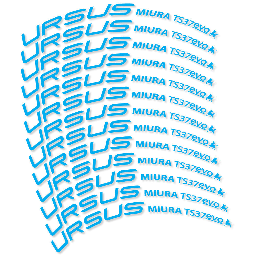 Stickers Ursus Miura Ts37 Evo Disc compatibles Autocollants roues Route