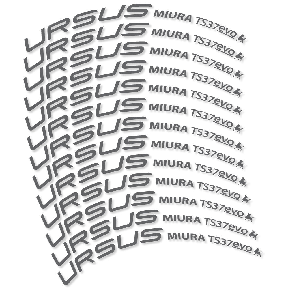 Stickers Ursus Miura Ts37 Evo Disc compatibles Autocollants roues Route