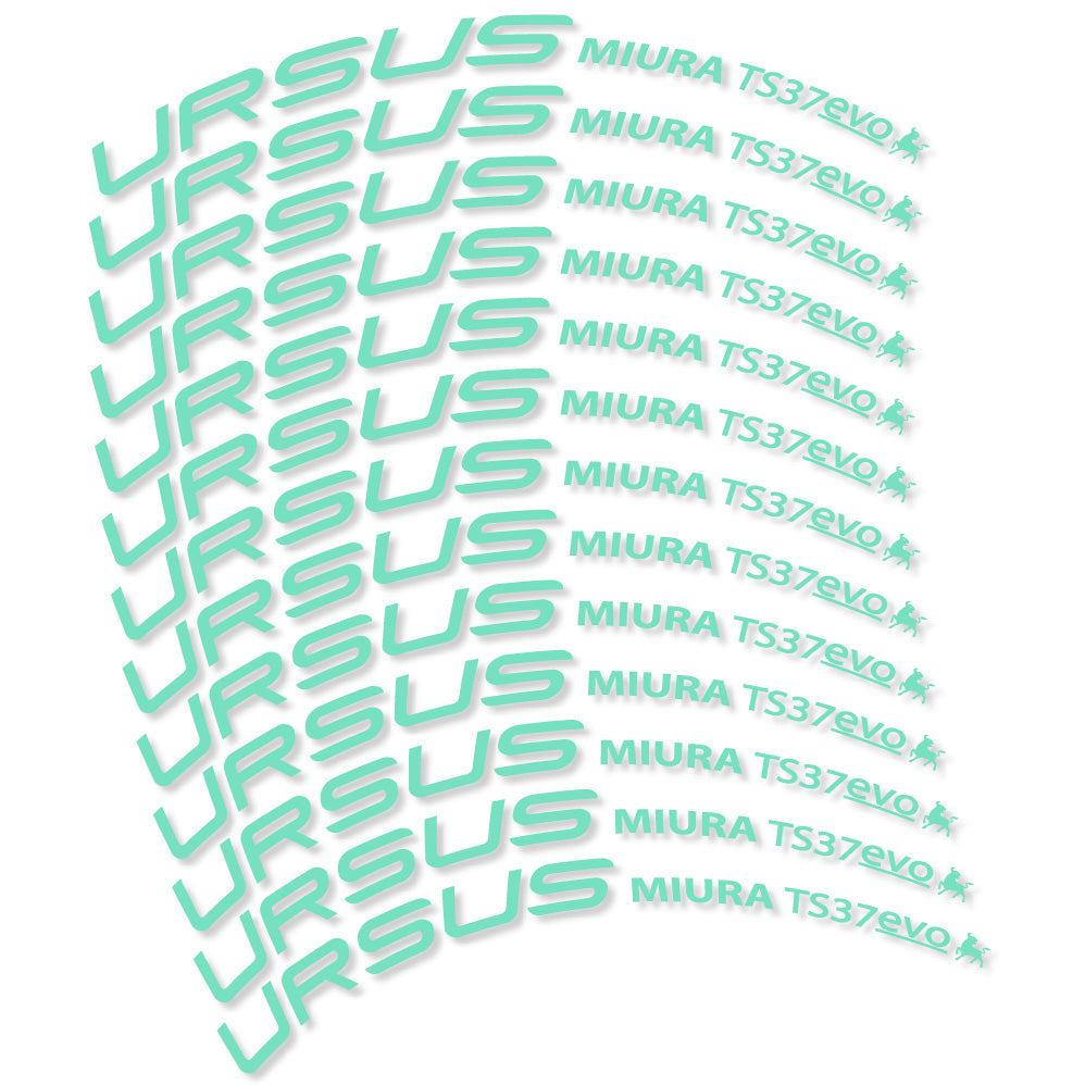 Stickers Ursus Miura Ts37 Evo Disc compatibles Autocollants roues Route