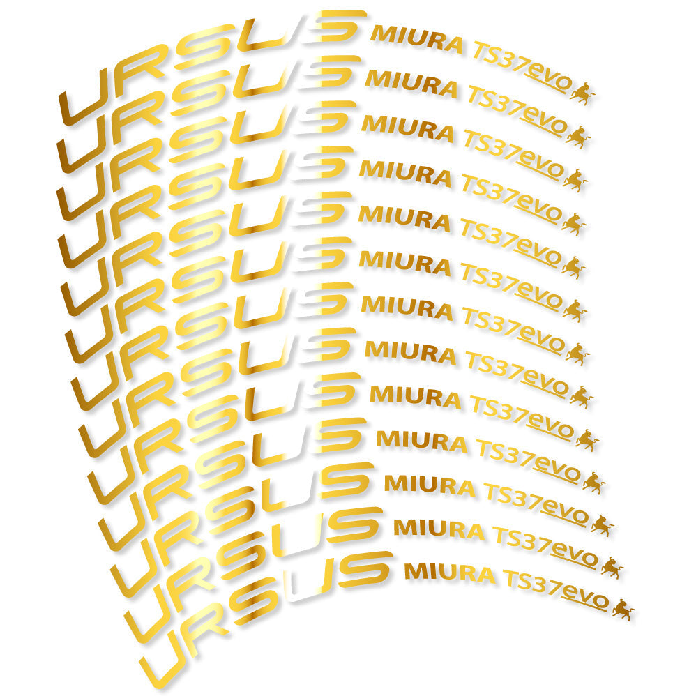 Stickers Ursus Miura Ts37 Evo Disc compatibles Autocollants roues Route