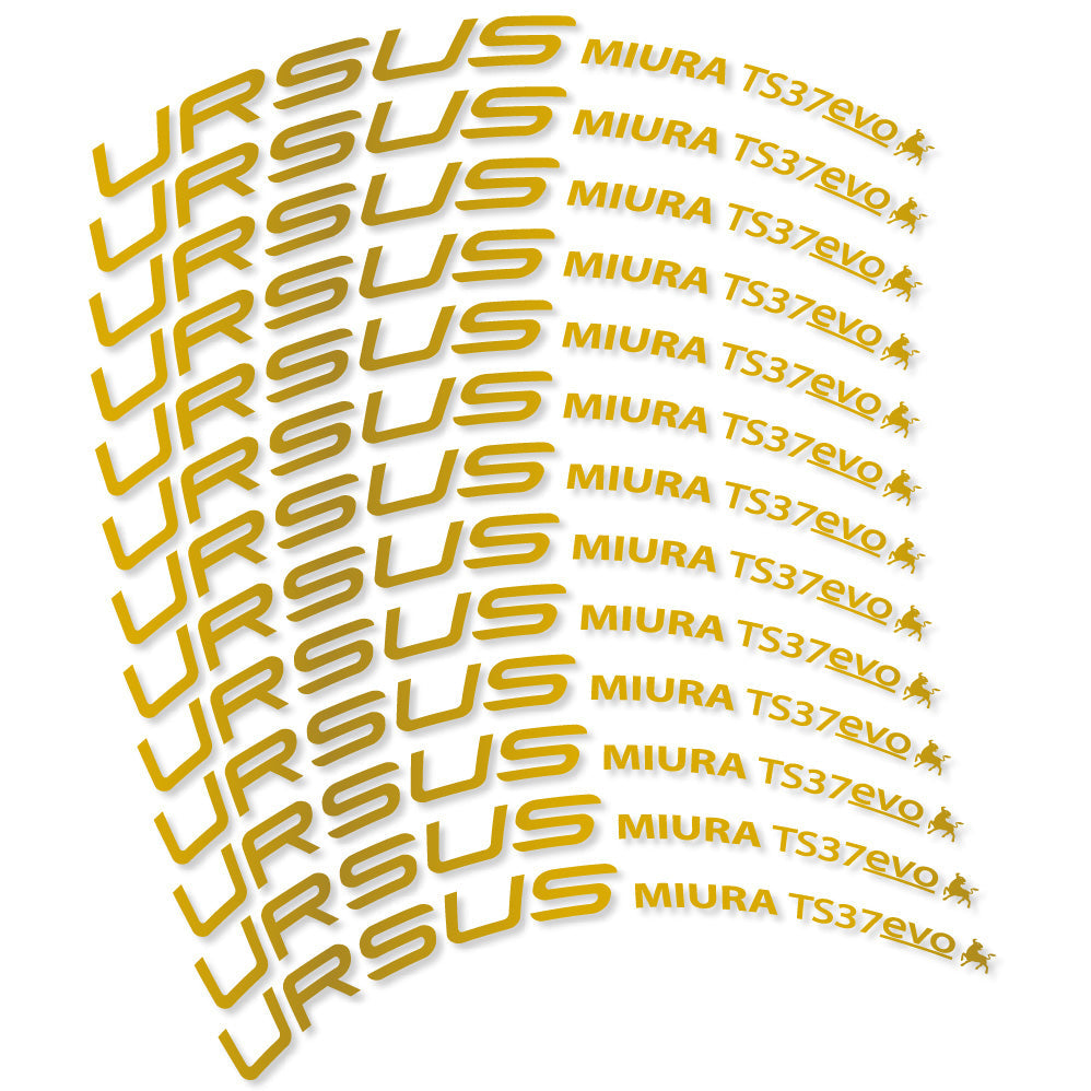 Stickers Ursus Miura Ts37 Evo Disc compatibles Autocollants roues Route