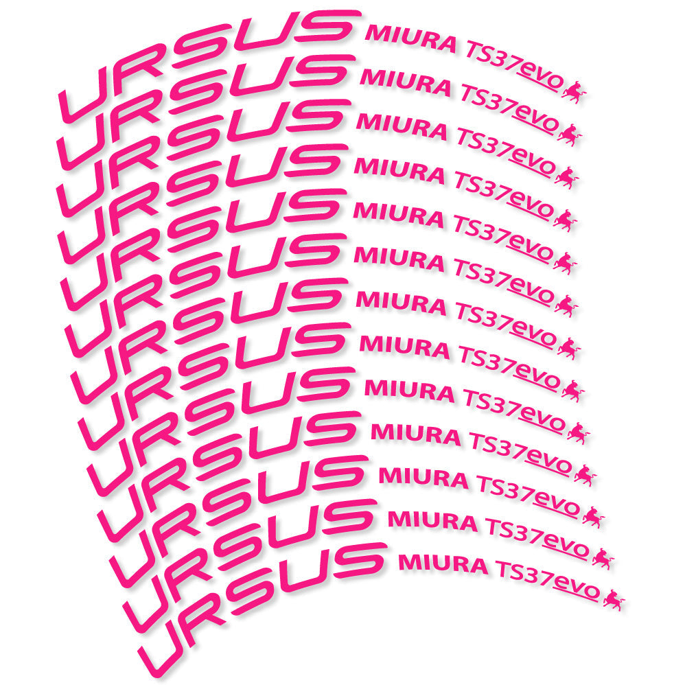 Stickers Ursus Miura Ts37 Evo Disc compatibles Autocollants roues Route