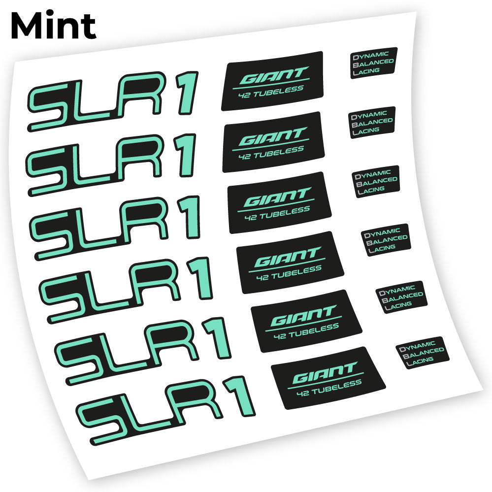 Stickers Giant SLR 1 42 compatibles Autocollants roues Route