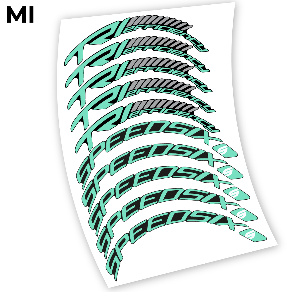Stickers Speedsix TRI efficiency 60 compatibles Autocollants roues Route