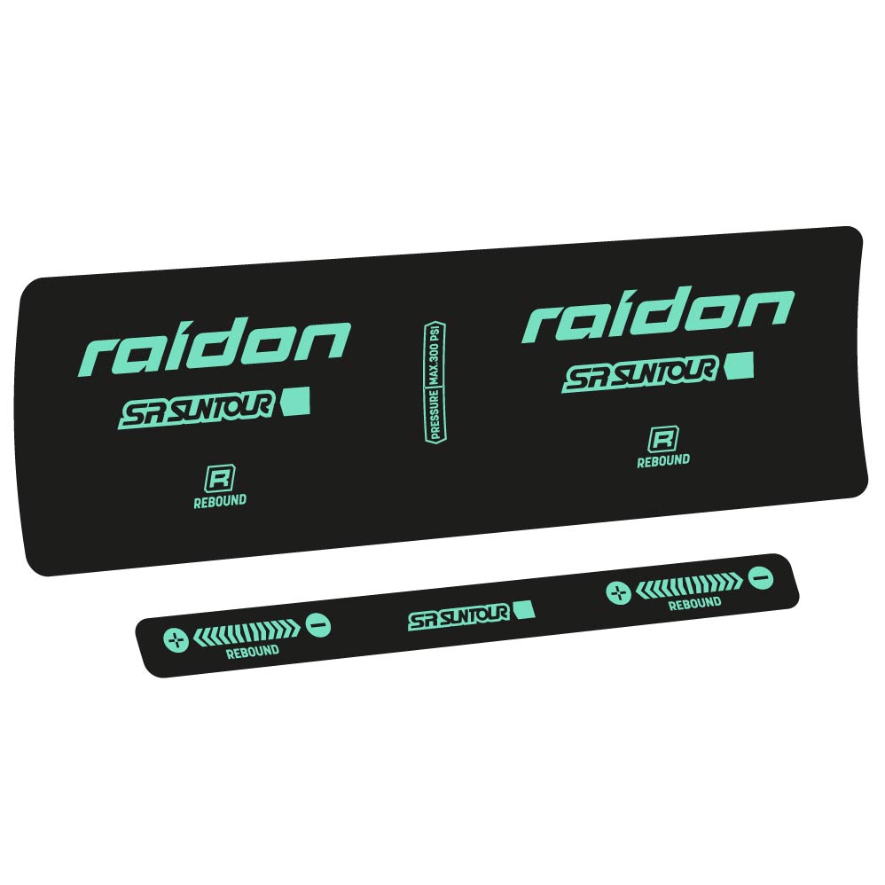 Stickers SR Suntour Raidon R 2020 compatibles Autocollants amortisseur