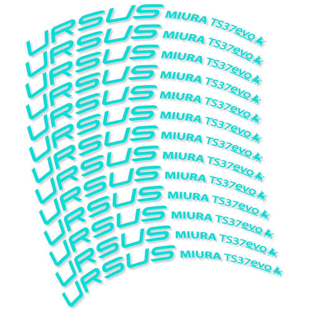 Stickers Ursus Miura Ts37 Evo Disc compatibles Autocollants roues Route